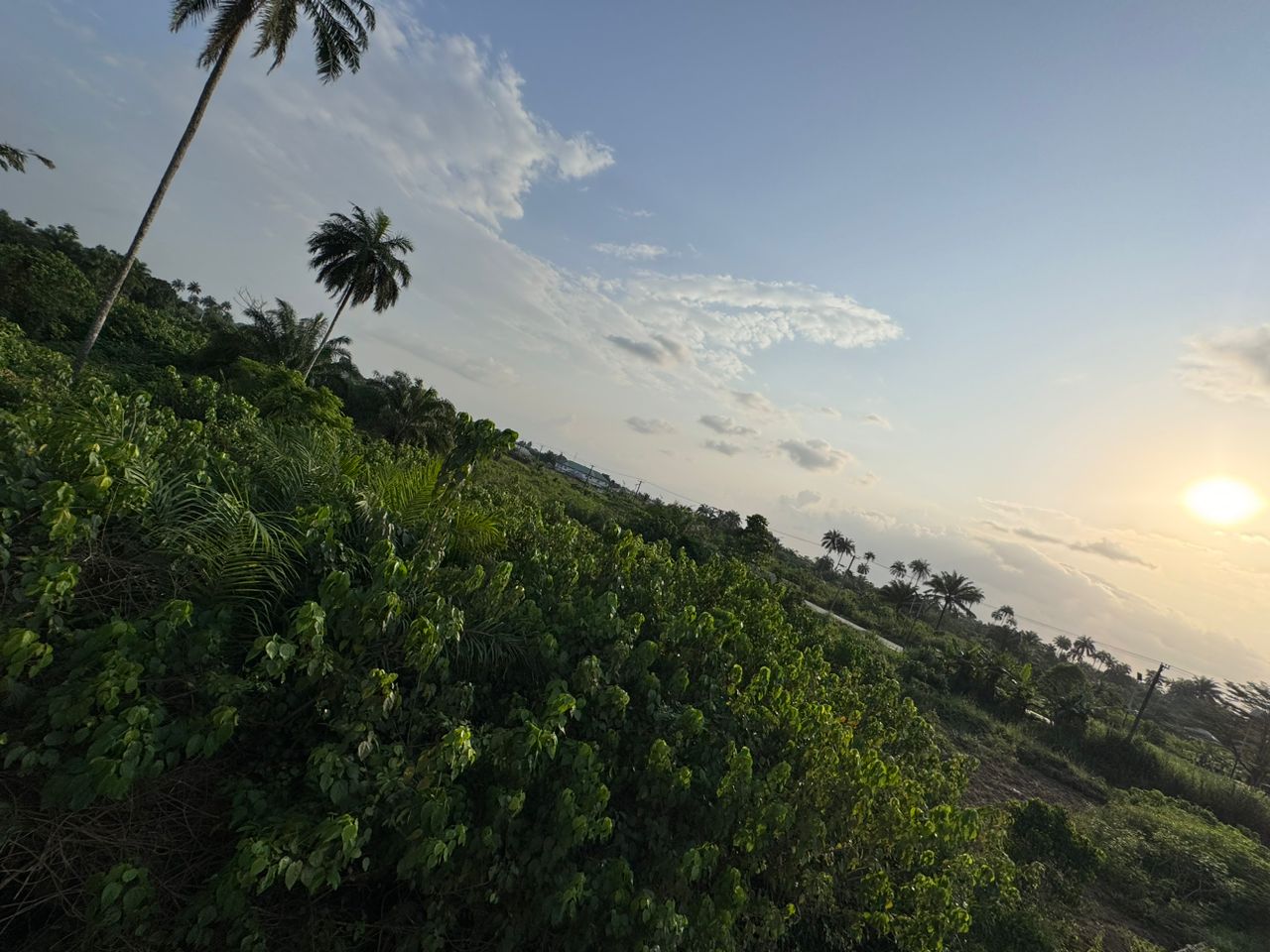 7 Plots of Land (Roadside) – Agbura Otuokpoti Road